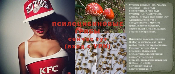 соль ск Михайловка