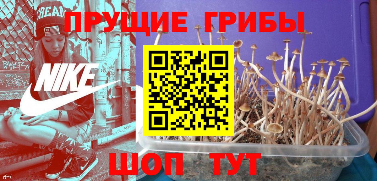 что такое   Галлюциногенные грибы GOLDEN TEACHER  Вход с VPN  Лангепас 
