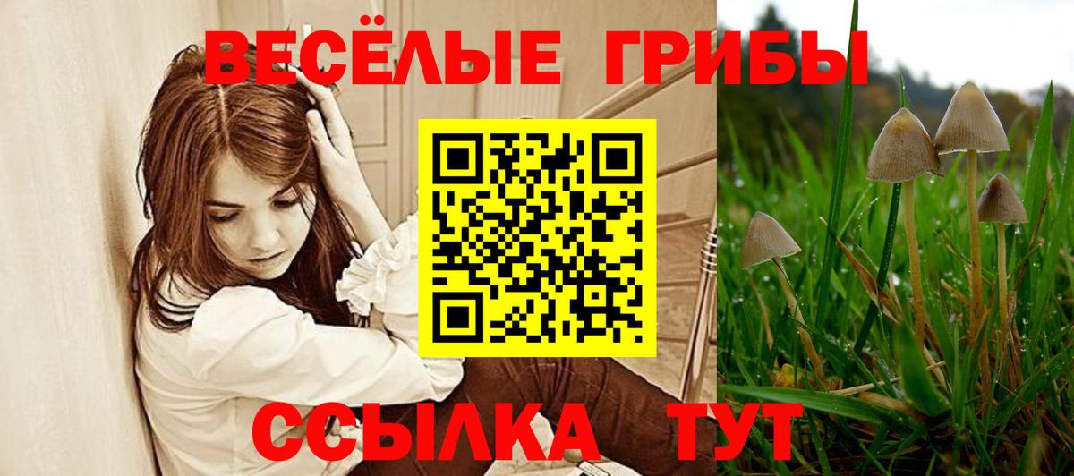 Псилоцибиновые грибы Magic Shrooms Лангепас